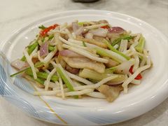 -姚林轩