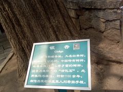 -青岛崂山太清宫