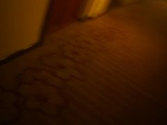 -东北大厦酒店(沈阳北站青年大街店)