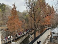 -白水寺森林公园