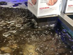 -盒马鲜生(大成店)
