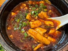 邵子牛脊髓-曾牛肉