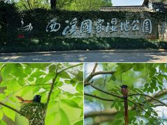 -西溪国家湿地公园