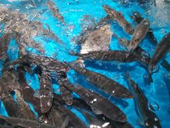 -盒马鲜生(馥邦国际店)