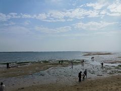 -北海金海湾红树林生态旅游区