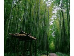 -蜀南竹海景区