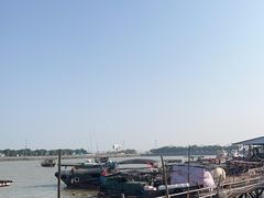 -大湾区中央湿地公园-十九涌