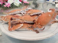 -域乐楼清真饭庄(华北路店)