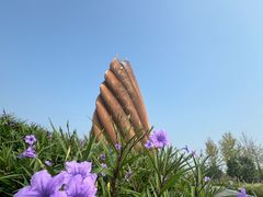 -成都大熊猫繁育研究基地