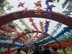 -无锡蠡湖国家湿地公园-蠡园