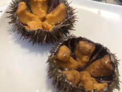 -海胆小馆(东北水饺·春柳店)