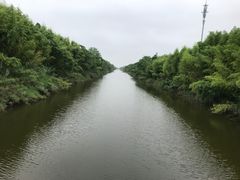 -黄海国家森林公园