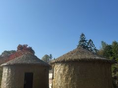 -塔川景区