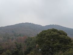 -宝岩生态观光园