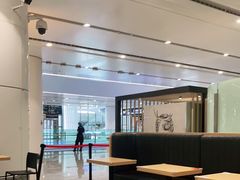 -麦当劳(北京大兴机场二层国内到达(安检外)店)