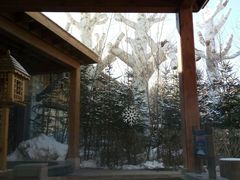 -汉拿山温泉度假酒店