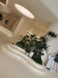 -蔓霏美学生活沙龙