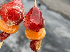 -小厨家松花江.鲜鱼坊(天麻滋补鱼汤店)