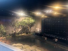 -北京周口店北京人遗址博物馆