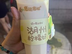-猫的魔法密林(衣裳街店)