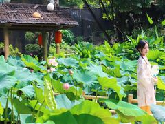 -广州莲花山旅游区