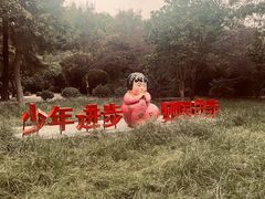 -洛阳市牡丹公园