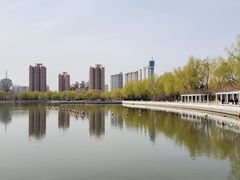-莲花池公园