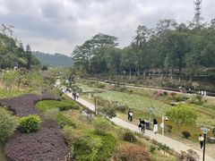 -东莞植物园