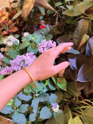 -菜百首饰(朝阳店)