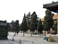 android_upload_pic-历代帝王庙博物馆