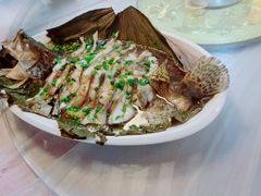 -呼吸森林·生态农庄农家乐私房菜