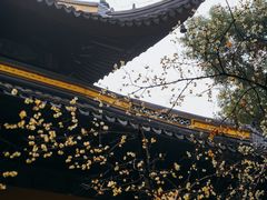 -西园戒幢律寺