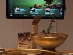 -巴奴毛肚火锅概念餐厅