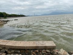 -深圳湾公园(南山区)