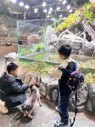 点击看大图 -Zoolung Zoolung动物主题公园(海信广场店)