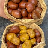 南京超好吃的板栗｜来自秋天的仪式感