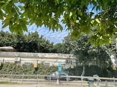 -喜洲吧·江畔老船厂·庭院餐厅(喜临院店)