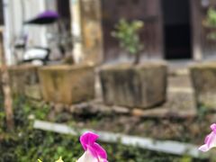 -江南第一家