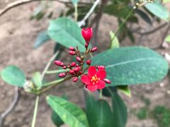 -兰陵国家农业公园