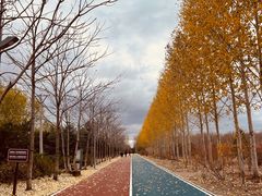 -绥化市森林植物园