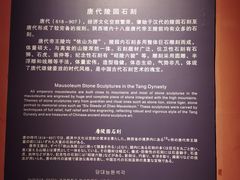 -西安碑林博物馆