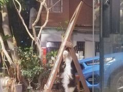 -石炮台果汁冰(天河店)