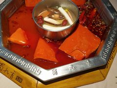 -蜀九香火锅(九眼桥店)