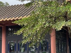 -顺峰山公园