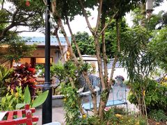 -天然居(伦教店)