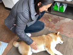 -啡语