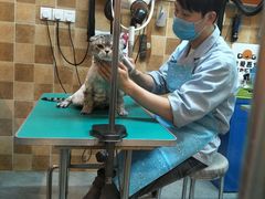 -我爱吾宠宠物美容院(朝阳路店)