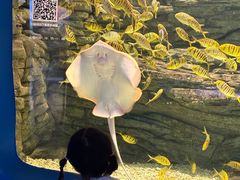 -欢乐海岸海洋奇梦馆