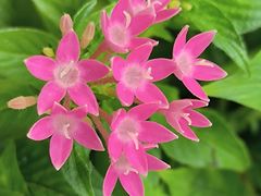 -福田红树林生态公园