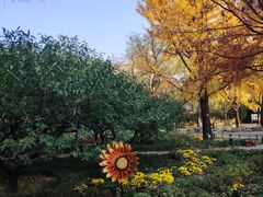 -香山公园-东宫门售票处